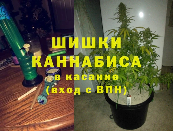 2c-b Алзамай